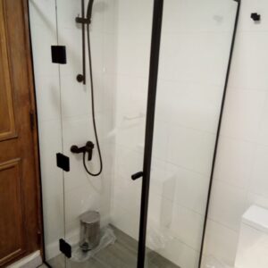 Shower Door
